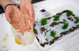 A member of the AgriC team displays their prototype of chitin-based plastic. 