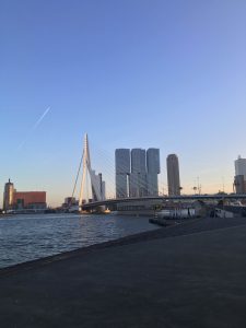 Rotterdam Michael 2