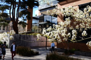 Paccar Hall in the Spring