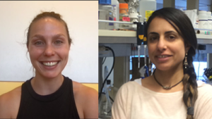 PhD student Louisa Helms paired with Shiri Levy to work on the potential applications for an innovative computationally designed protein inhibitor being developed out of the Department of Biochemistry and the UW Institute for Protein Design in the 2021 Commercialization fellowship.