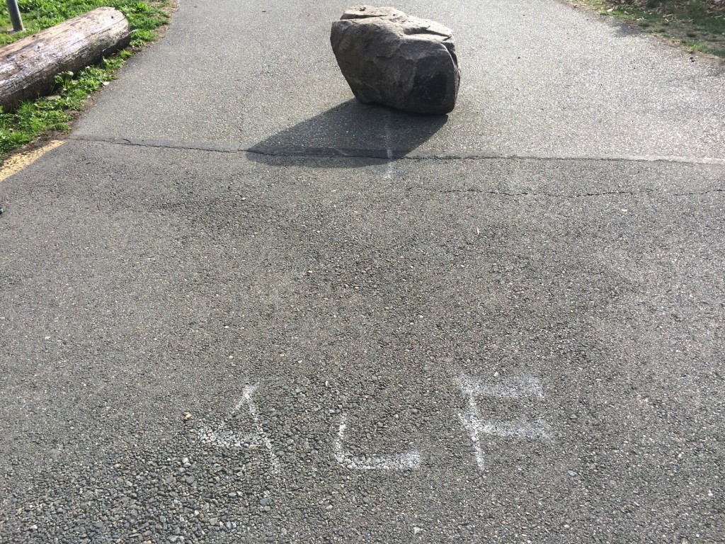PS The pic with the "Alf" written on the ground was something I came across in Magnuson Park the 2nd week I got to Seattle.  Pretty much validated the move here!